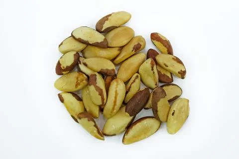 Brazil nut on a white Stock Photos