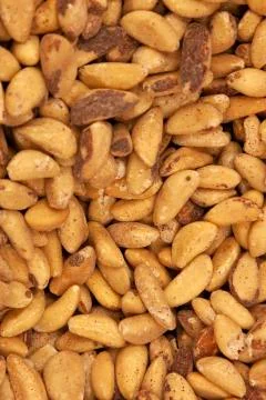 Brazil nuts in a bin Stock Photos