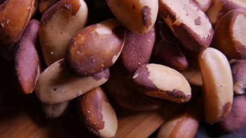 Brazil nuts. Closeup 4K UHD 動画素材 73571044