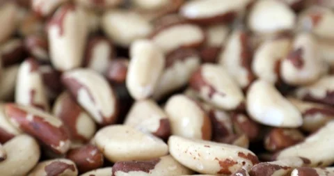 Brazil nuts Stock Footage 100183907