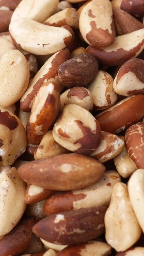 Brazil nuts mixed with different nuts and seeds Stock Footage 332885563