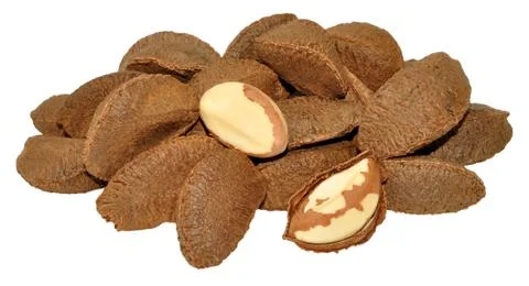 Brazil Nuts In Shells Stock Photos