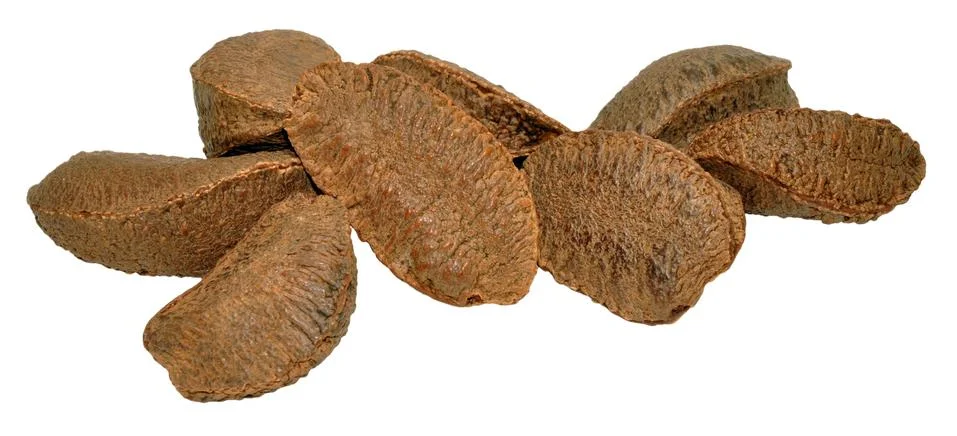 Brazil Nuts In Shells Stock Photos