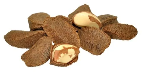 Brazil Nuts In Shells Stock Photos