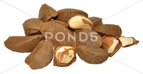 Brazil Nuts In Shells Stock Photos