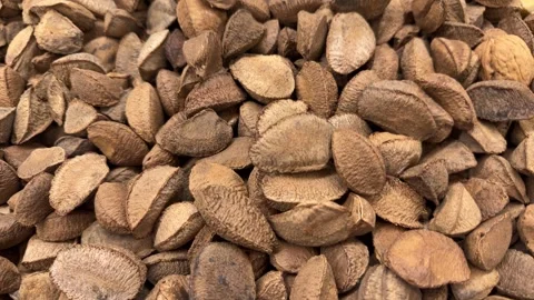 Brazil nuts on the supermarket shelf Stock Footage 291753673
