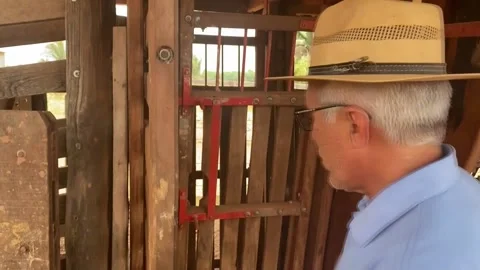 Brazil promotes the identification of its cows in the Amazon amid cattle rancher Vidéo 318666101