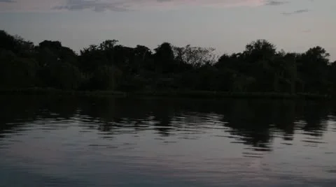 Brazil river evening 库存影片 11140355
