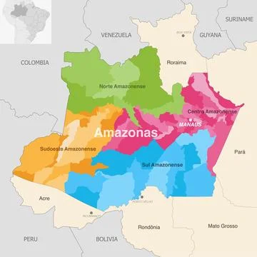 Brazil state Amazonas administrative map showing municipalities Illustrazione stock