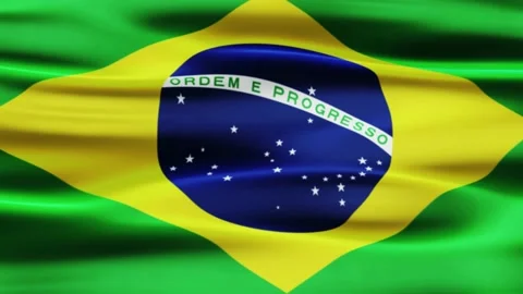 Brazil Waving Flag Animation (Loop) Stock Footage 220242618