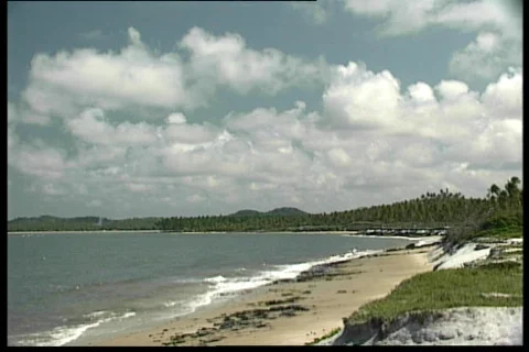 Brazilian beach 動画素材 67473