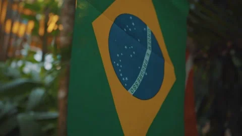 Brazilian Flag in the forest Stock Footage 151895550