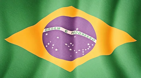 Brazilian flag in the stadium Stock Footage 39415162