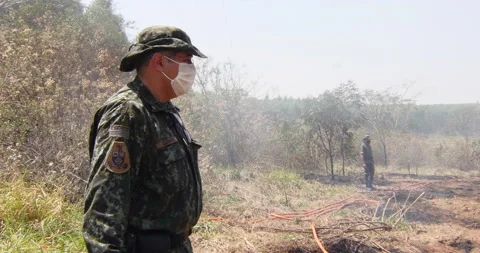 Brazilian forest burning, fire, amazon, pantanal. Brazilian military Stock Footage 140268719