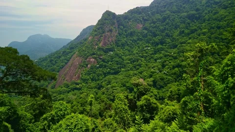 Brazilian forests in the mountains Video stock 263661882