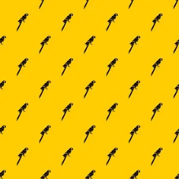 Brazilian parrot pattern Illustrazione stock