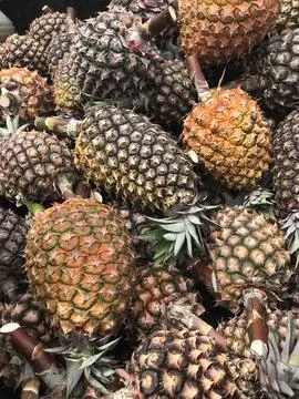 Brazilian Pineapples Stock Photos