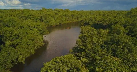Brazilian Rainforest Around Rio Negro and Amazon River Aerial. Isolated Stock Footage