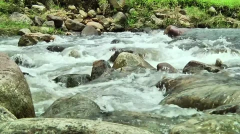 Brazilian river Stock Footage 50563205