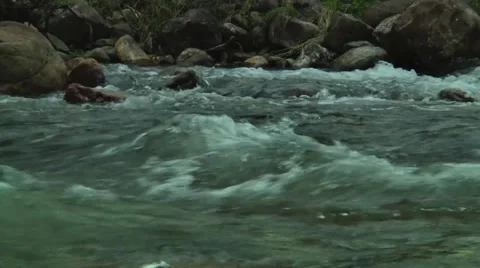 Brazilian river Stock Footage 50563210