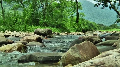 Brazilian river in  new angle Stock Footage 50563196