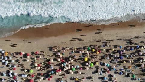 Brazillian Summer 動画素材 232282530