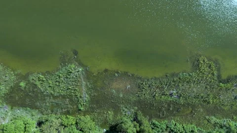 Brazos River shoreline Video stock 251202400