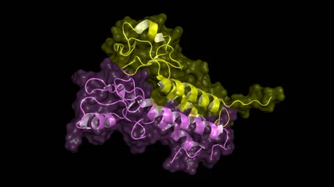 BRCA1 molecule Stock Footage 52462391