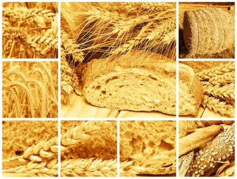 Bread and cereals Stock Photos