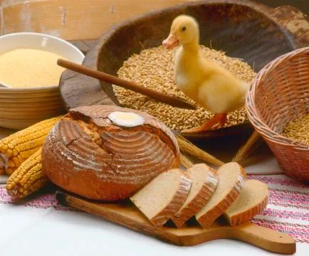 Bread and duck Stock Photos