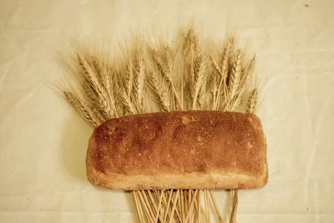 Bread and ears of wheat, bread, ears of wheat, still life Stock Photos