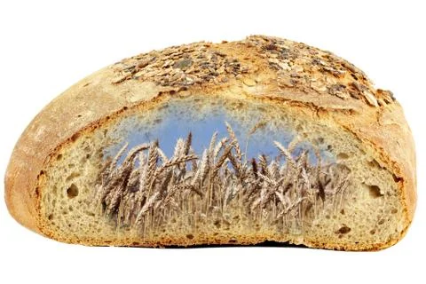 Bread and golden wheat Illustrazione stock
