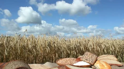 Bread and Grain Stock Footage 11425595