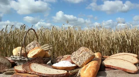 Bread and Grain 스톡 동영상 11425669