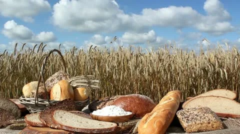 Bread and Grain Stock Footage 11425712