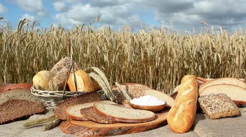 Bread and Grain Stock-Footage 11425759