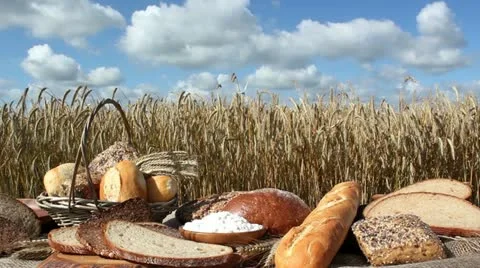 Bread and Grain 库存影片 11425932