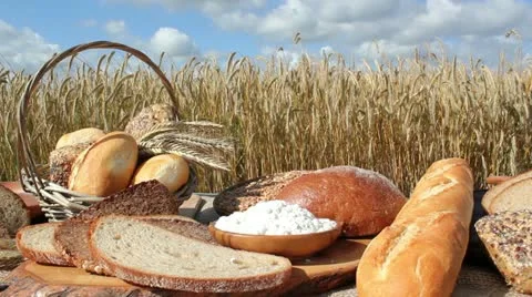 Bread and Grain 库存影片 11426017