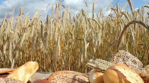 Bread and Grain 库存影片 11426316