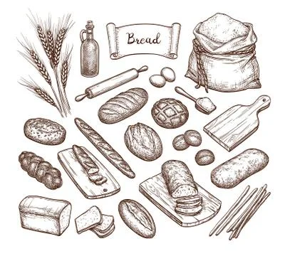 Bread and Ingredients. Stock Illustration
