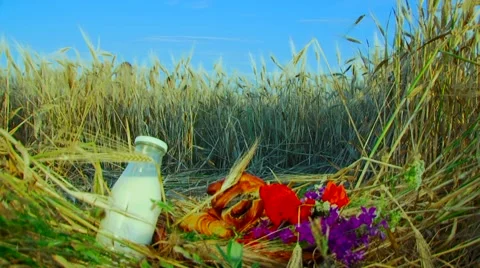 Bread And Milk Video stock 52754892