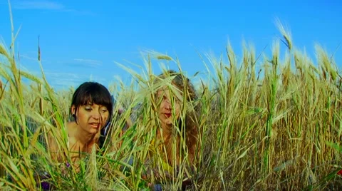 Bread And Milk Stock Footage 52755112