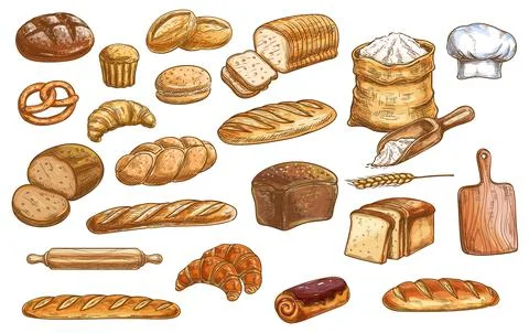 Bread and pastry color isolated vector sketches Stock Illustration