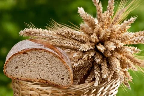 Bread and sheaf of wheat and barley Stock Photos