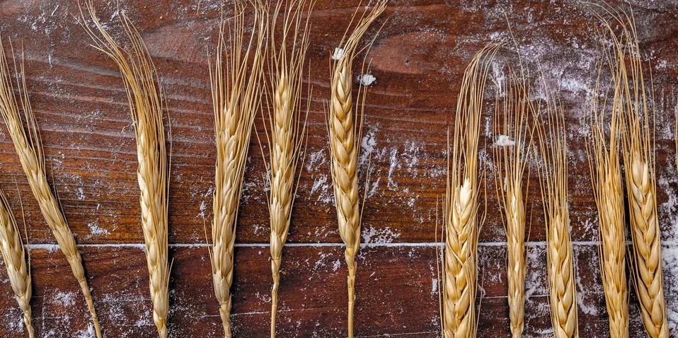 Bread and Spikelets Stock Photos