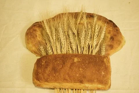 Bread and wheat ears, still life Foto stock