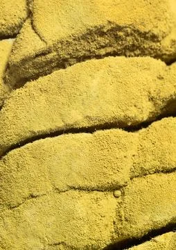 Bread with bacterium of mold . Macro photography Foto stock