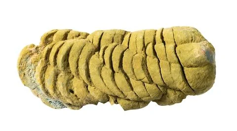 Bread with bacterium of mold . Macro photography Foto stock