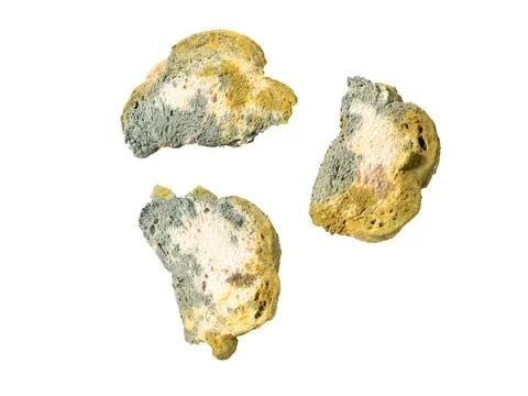 Bread with bacterium of mold . Macro photography  .  Isolated on white back.. 스톡 사진