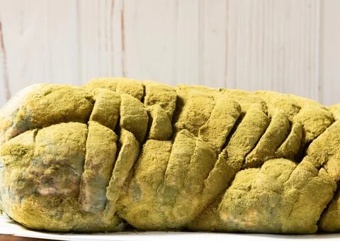 Bread with bacterium of mold . Macro photography 스톡 사진